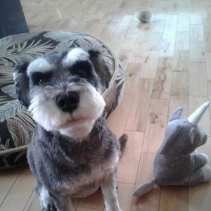 Meet your Posher, Claudette